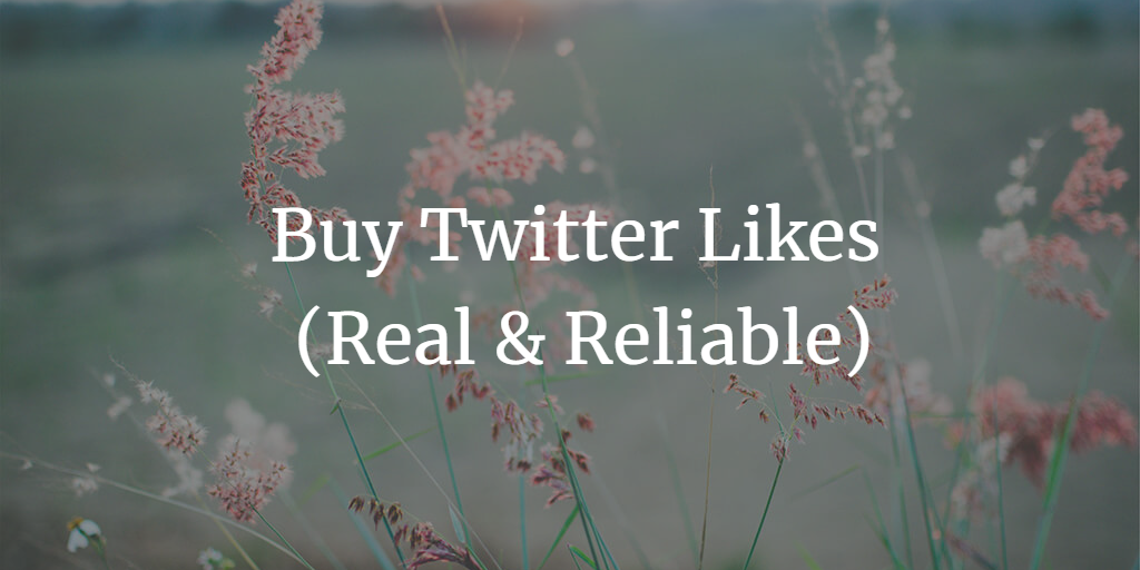 Buy Twitter Likes – 10 Amazing Sites in 2023 (Real & Reliable)