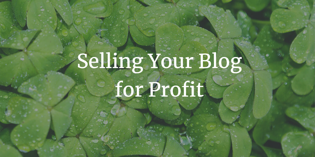 The Ultimate Guide to Selling Your Blog for Profit