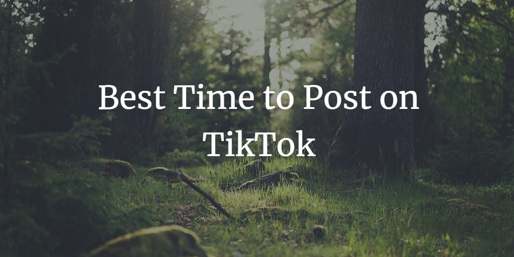 When is the Best Time to Post on TikTok? Unlocking the Algorithm