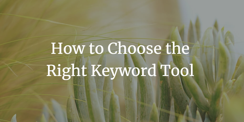 How to Choose the Right Keyword Tool